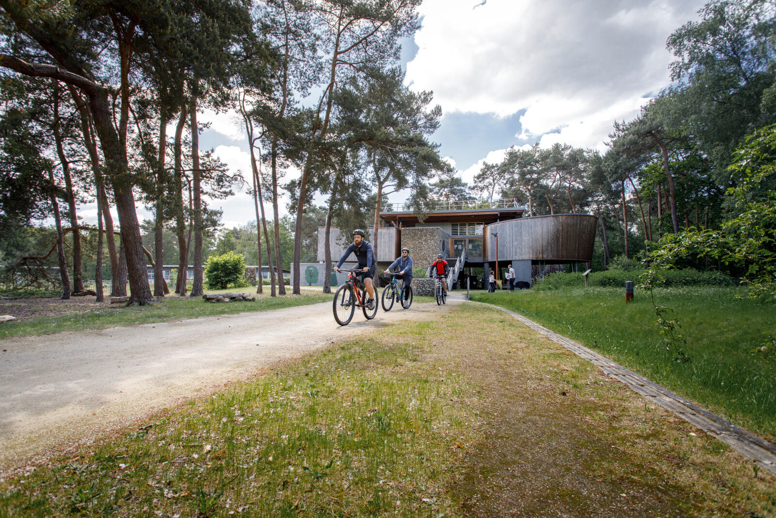 Cycliste sur une piste au milieu d'une forêt