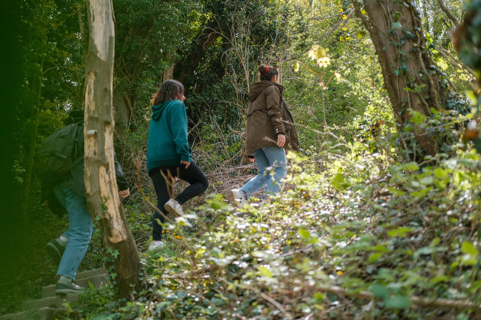 sentier pédestre côte sainte-catherine