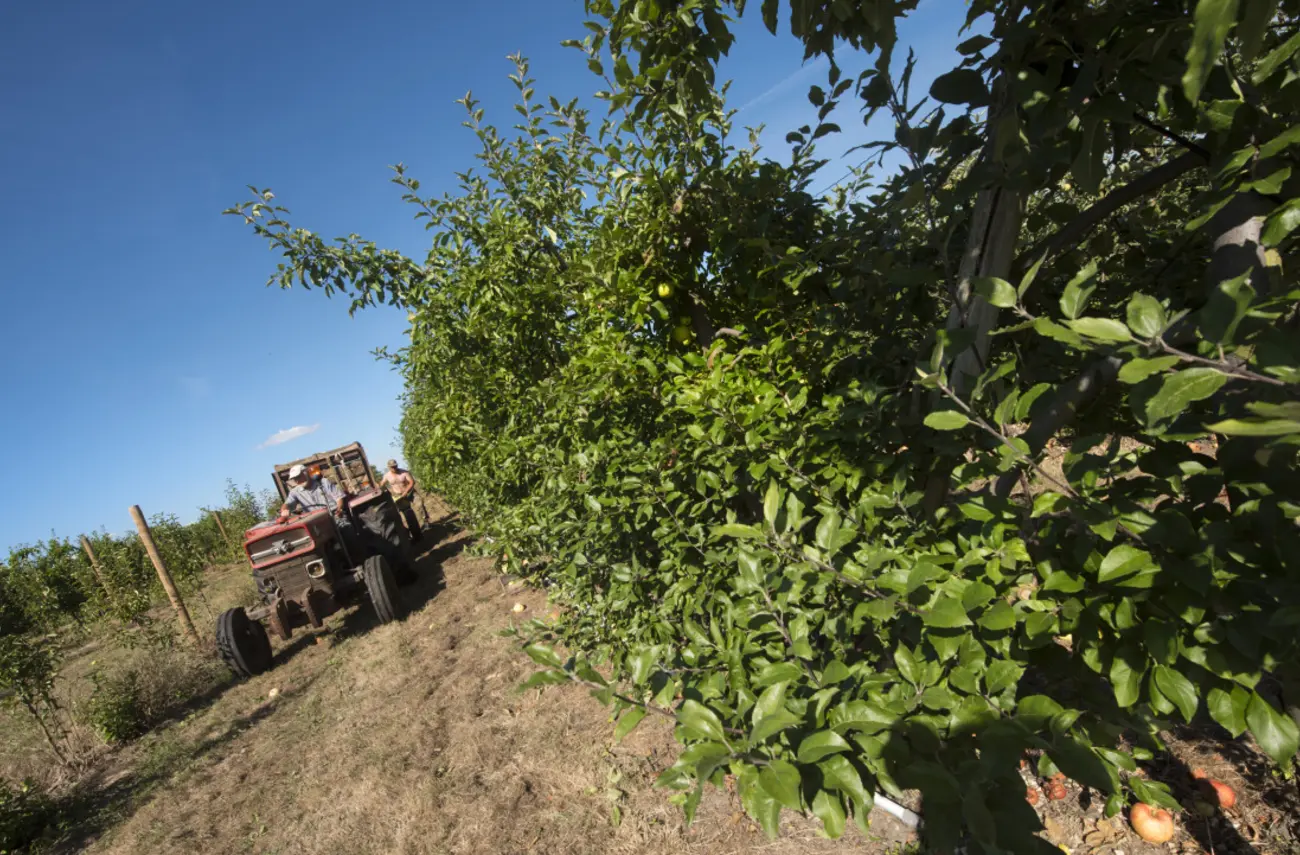 Appels à projets agricoles : la Métropole se mobilise en faveur d’une agriculture durable Appels à projets agricoles : la Métropole se mobilise en faveur d’une agriculture durable