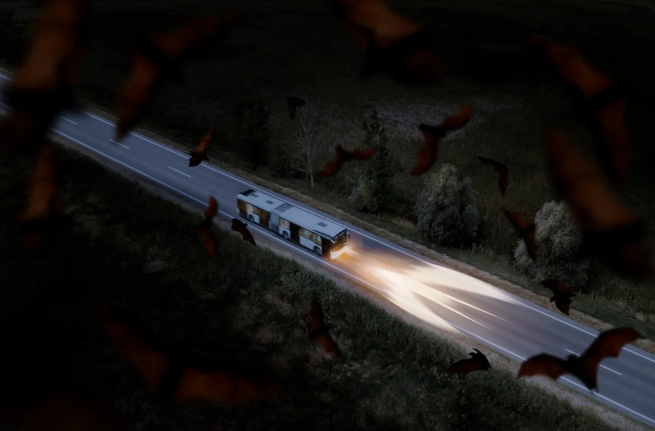 Les chauve-souris pointent à la ligne Les chauve-souris pointent à la ligne
