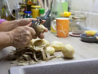 Les champignons de nos forêts et jardins - Ville de  Saint-Étienne-du-Rouvray - Site officiel